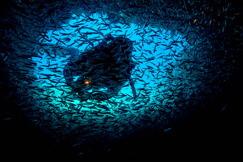 La grotte aux poissons de verre