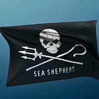 Sea Shepherd : toujours sur le pont !