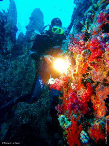 Seychelles-Praslin-repousse-corail