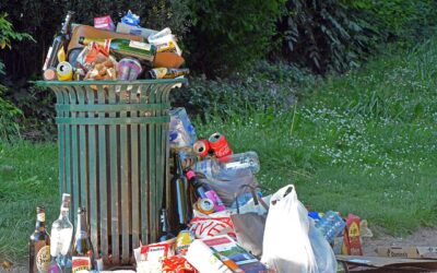 La fin des sacs plastique ?