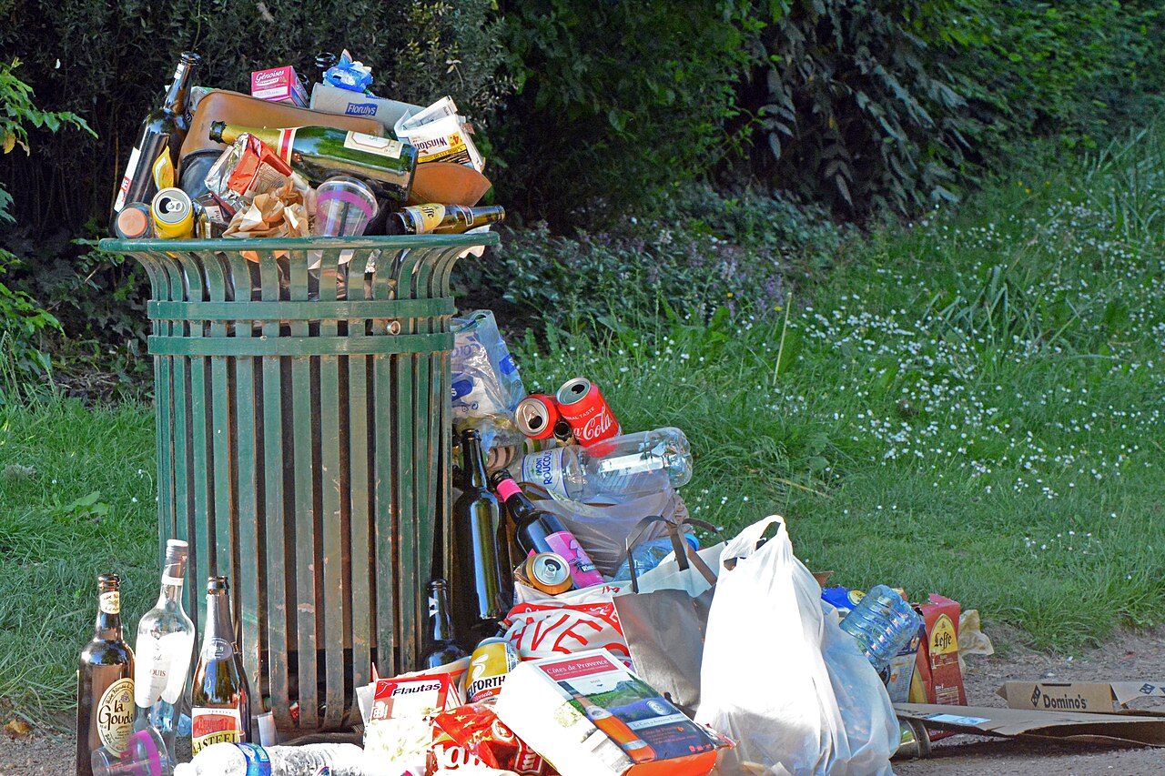 La fin des sacs plastique ? - Mes articles de presse - article, reportage, éditorial
