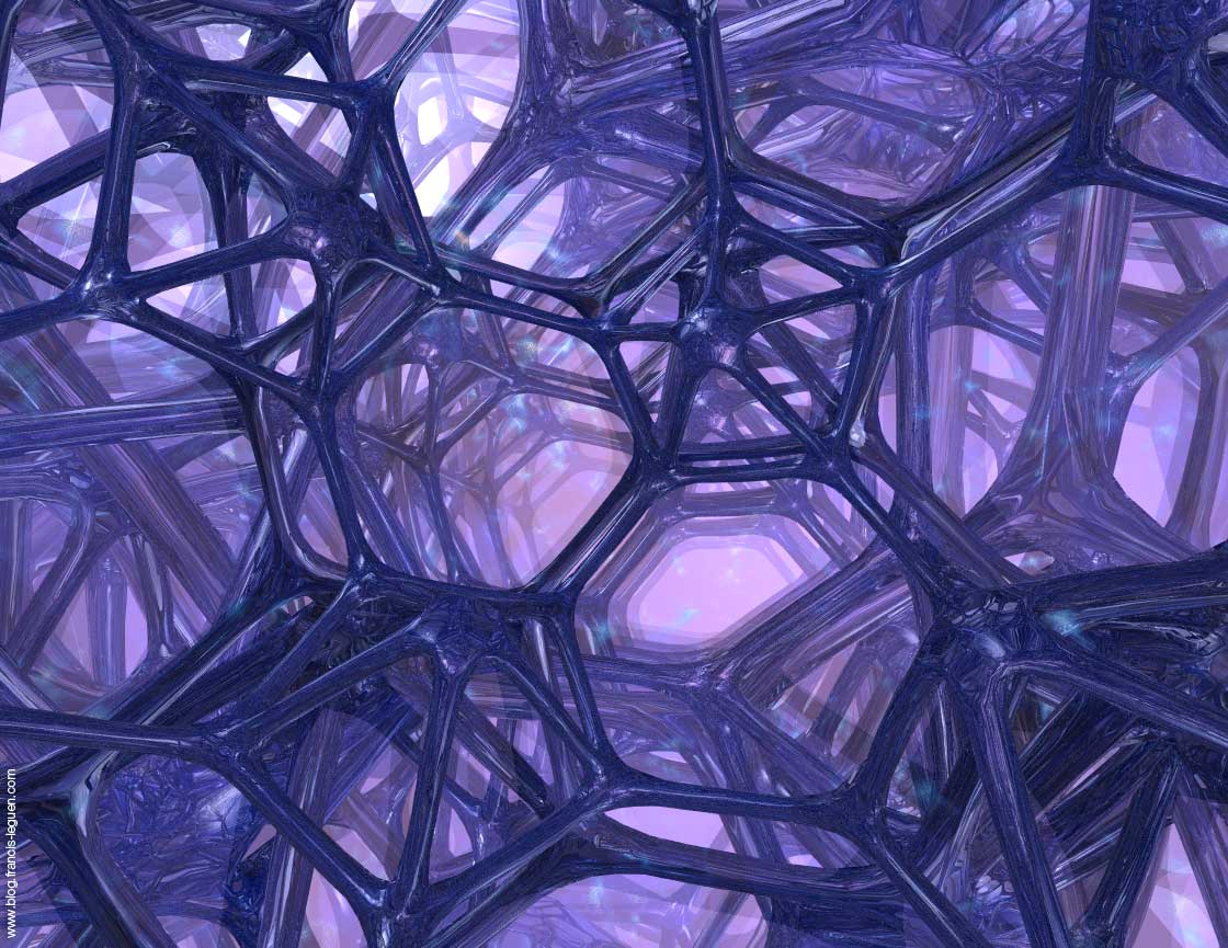 Un univers à explorer