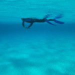 Dauphins pour rester Zen... - Voyages | Plongées - détail, art, couleur