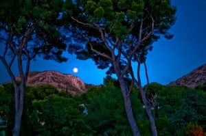 Une calanque sinon rien !
