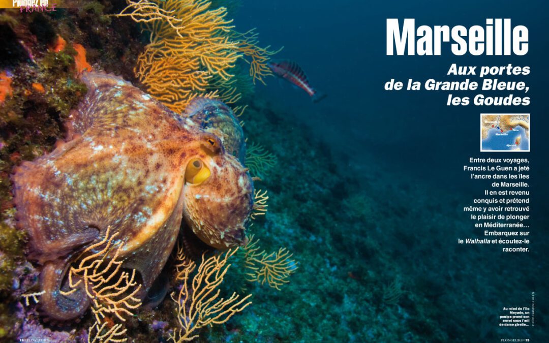 Les Goudes dans Plongeurs