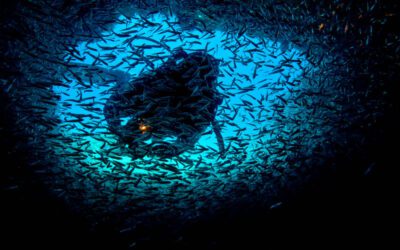 La grotte aux poissons de verre