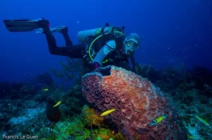 Eponges des Caraïbes - Mexique - Mexique, aztèque, Bacalar
