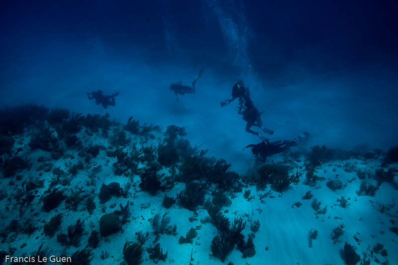 Plongée Barracudas - Mexique - Mexique, lumière, culture
