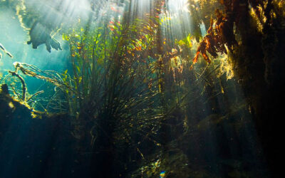 Cenote Kukulkan