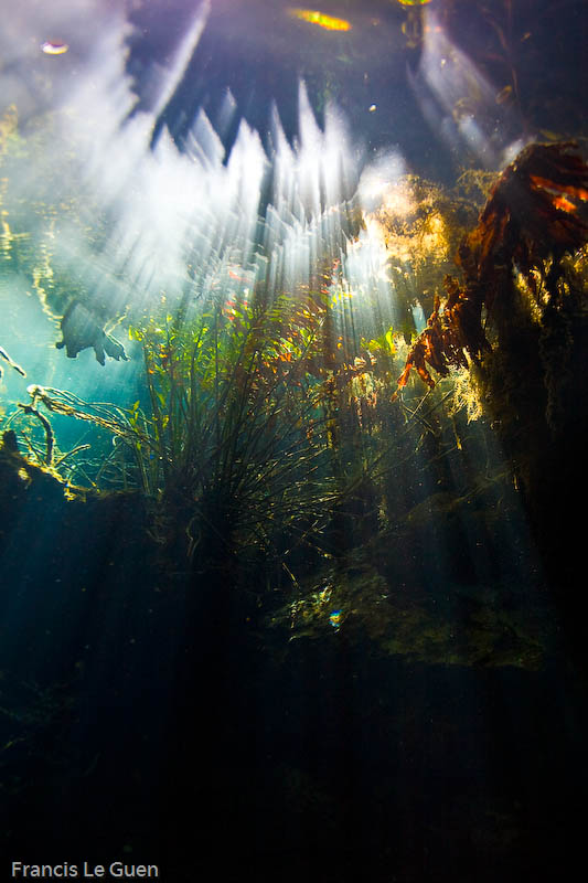 Cenote Kukulkan - Mexique - lumière, culture, Bacalar