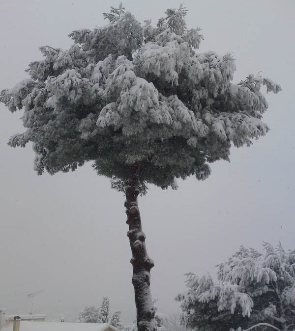 Il neige à Marseille !