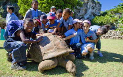 Rodrigues : Entre grottes et tortues
