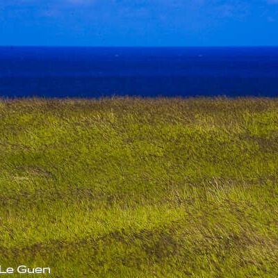Rodrigues : Ile aux tresors - Rodriques - photographie, ambiance, moment