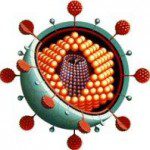 Virus Bagle : Un ver, ça va... - Informatique - programme, pixel, système