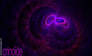 Apophysis - Fractales - infini, ensemble, zoom