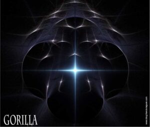 Apophysis - Fractales - infini, ensemble, zoom