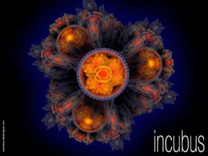 Apophysis - Fractales - infini, ensemble, zoom