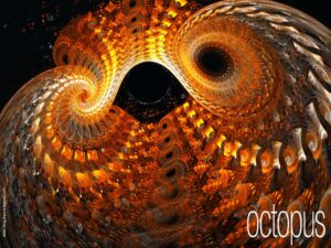 Apophysis - Fractales - infini, ensemble, zoom