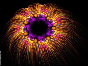 Apophysis pour les nuls. Enfin, de moins en moins nuls !.. - Fractales - répétition, ensemble, zoom