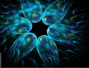Apophysis pour les nuls. Enfin, de moins en moins nuls !.. - Fractales - répétition, ensemble, zoom
