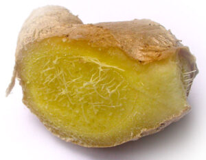 Gingembre