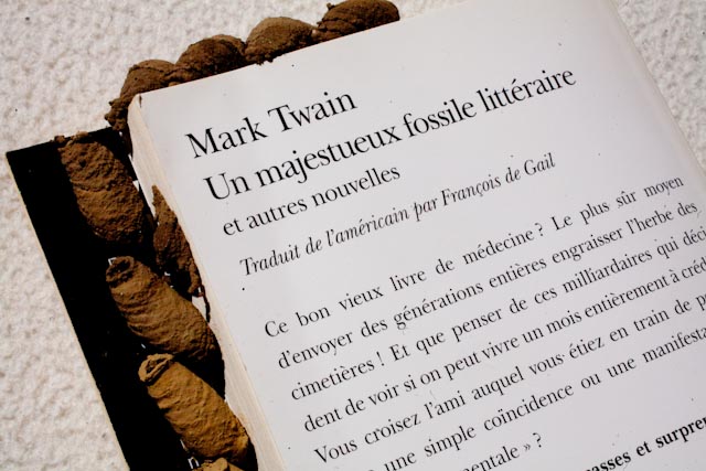 Mark Twain un Wasp ?