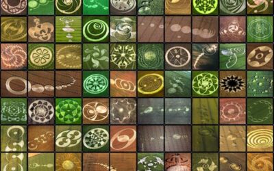 Les agroglyphes : fractales extraterrestres ?