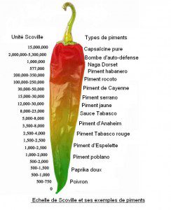 Echelle de Scoville