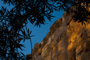 Camargue exquise - Photographie - photographie, clarté, composition