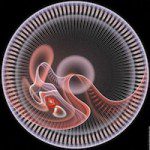Apophysis : Julian-Disc - Fractales - motifs abstraits, mathématiques, mandelbrot