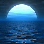 Plongez la nuit ! - Mes articles de presse - interview, communication, information