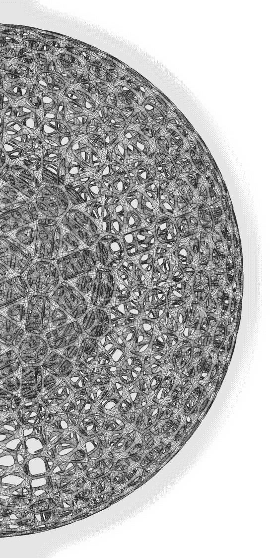 Radiolaria