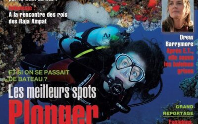 Plongeurs International n° 115
