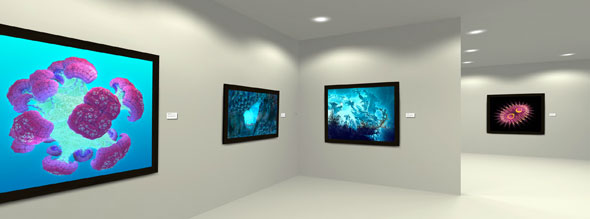galerie