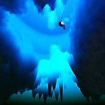 Des belugas à poil ! - Voyages | Plongées - composition, création, couleur