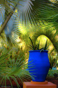 Jardin Majorelle Marrakech Maroc