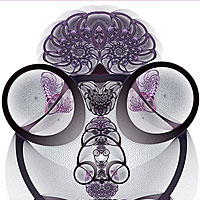 Apophysis : des rotifères microscopiques - Fractales - symétrie, courbes, mandelbrot