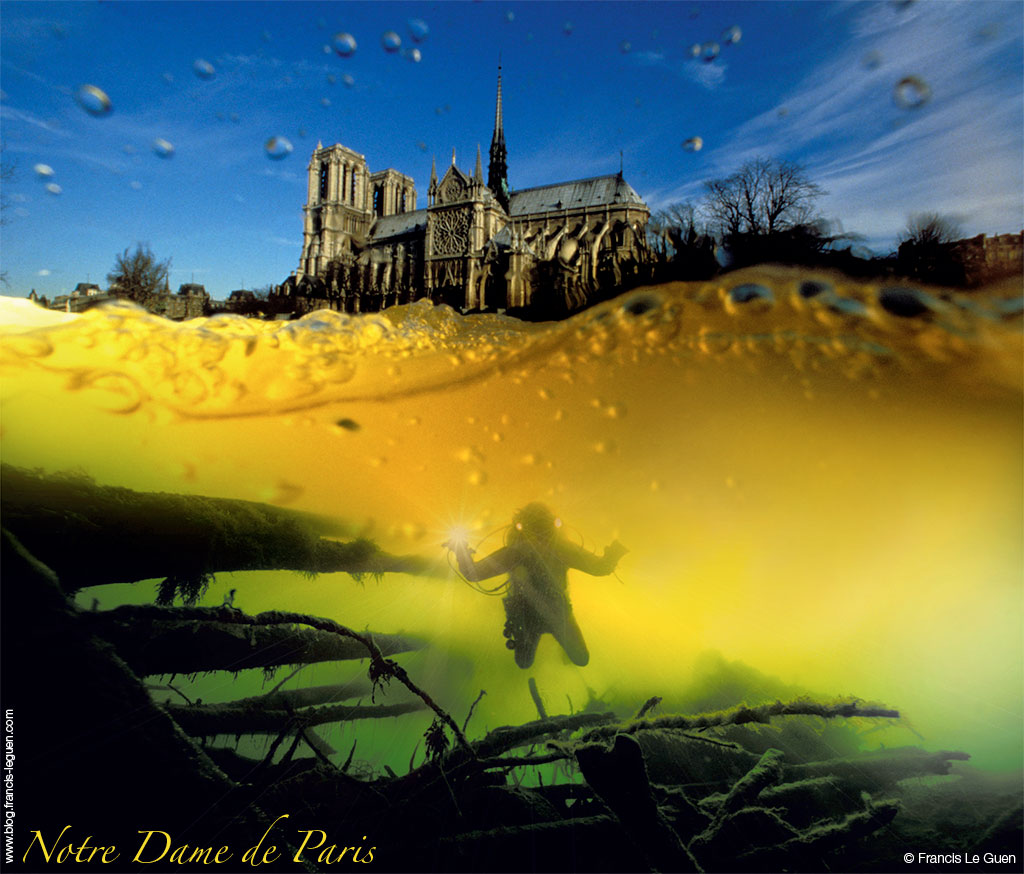 notre-dame