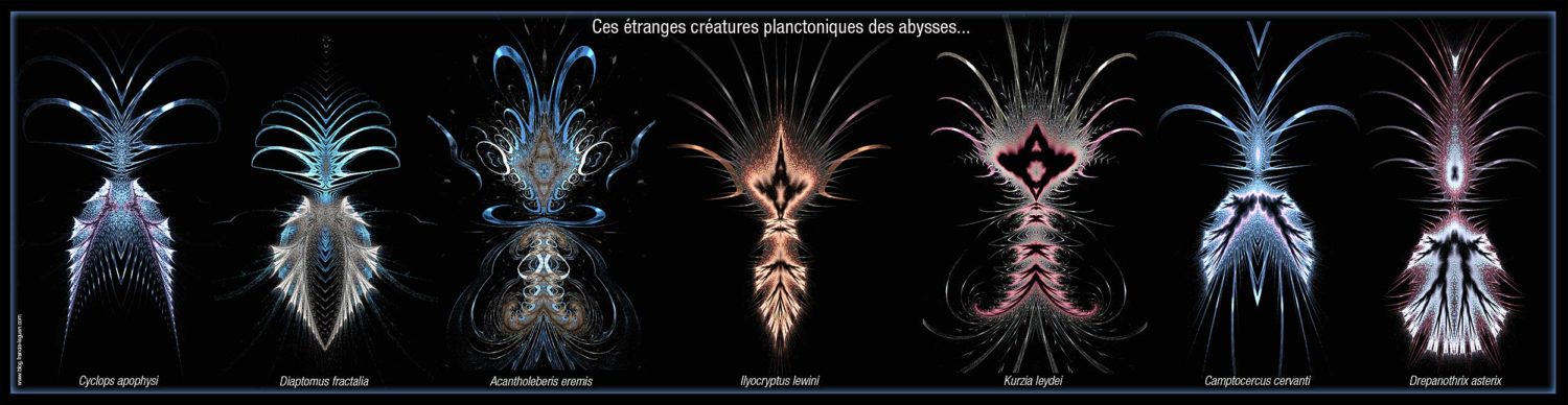 plancton-tryptique
