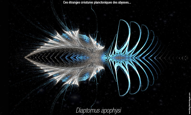 zooplancton synthétique