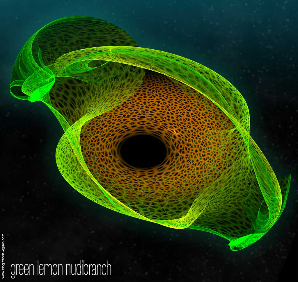 Nudibranches de synthèse sur Apophysis - Fractales - spirales, symétrie, détails