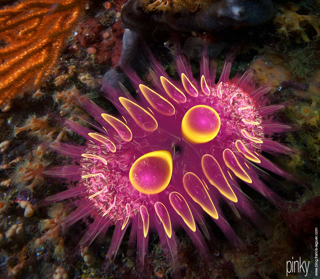 Nudibranches de synthèse sur Apophysis