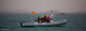 Championnat du monde de voile à Marseille - Marseille - Marseille, bouillabaisse, lumière