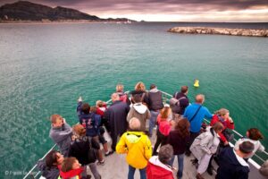 Championnat du monde de voile à Marseille - Marseille - Marseille, bouillabaisse, lumière