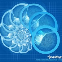 Voyage autour de la sphère - Fractales - infini, coloré, détails