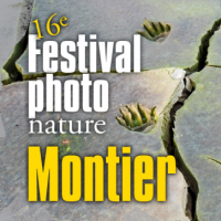Le Festival Photo Nature à Montier en Der - Médias - actualité, communication, numérique