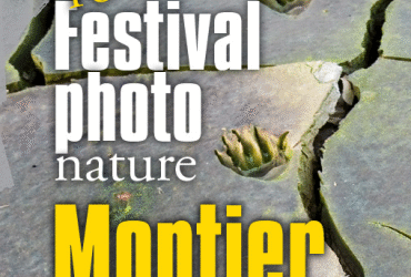 Le Festival Photo Nature à Montier en Der