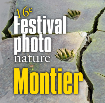 Le Festival Photo Nature à Montier en Der