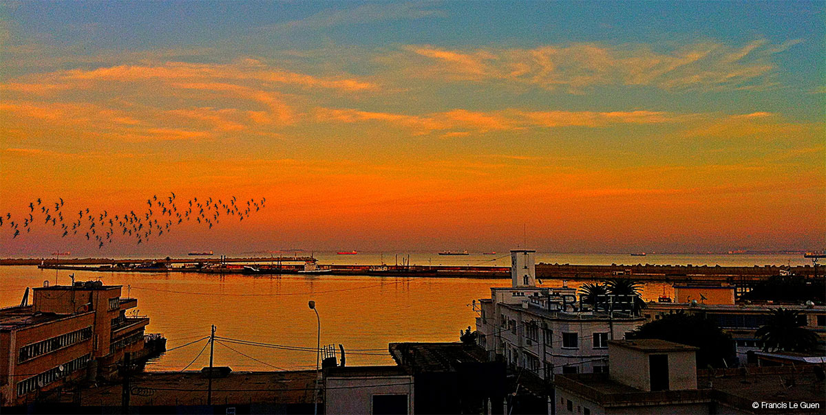 La Baie d'Alger Alger-Port