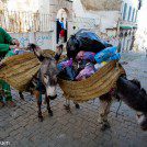 Algérie : la Casbah - Algérie - lumière, capture, forme